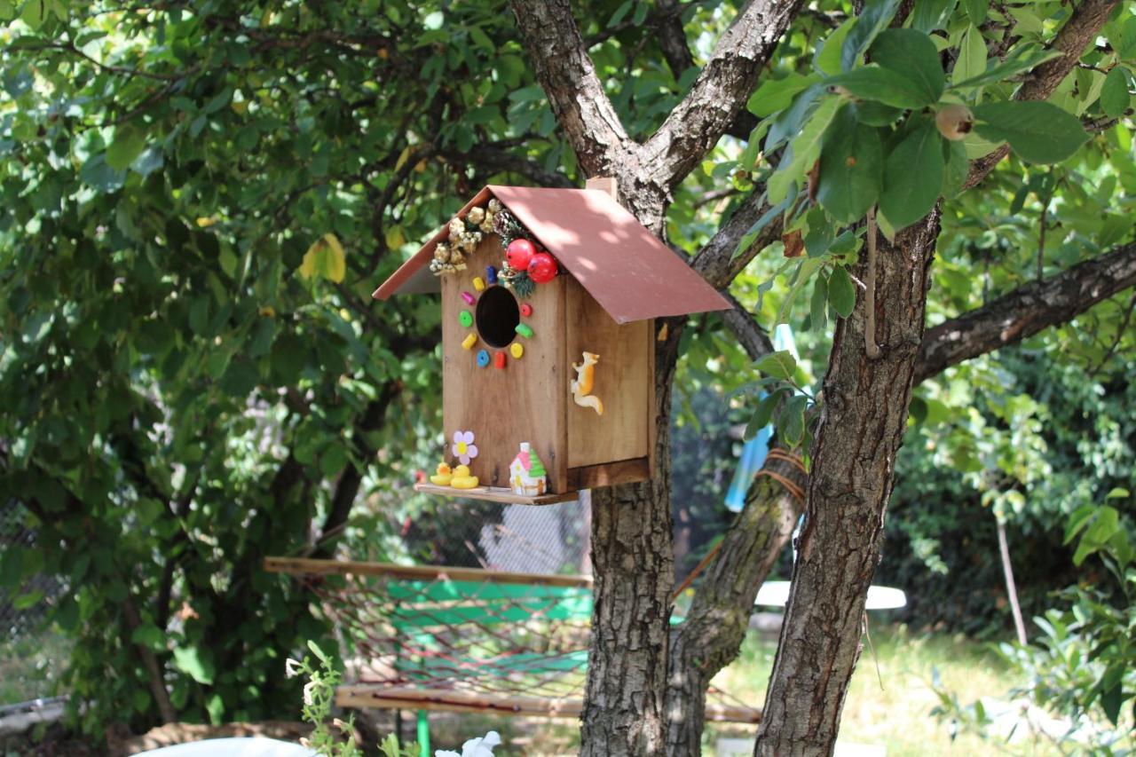 Guest House Poligloti Телави Екстериор снимка