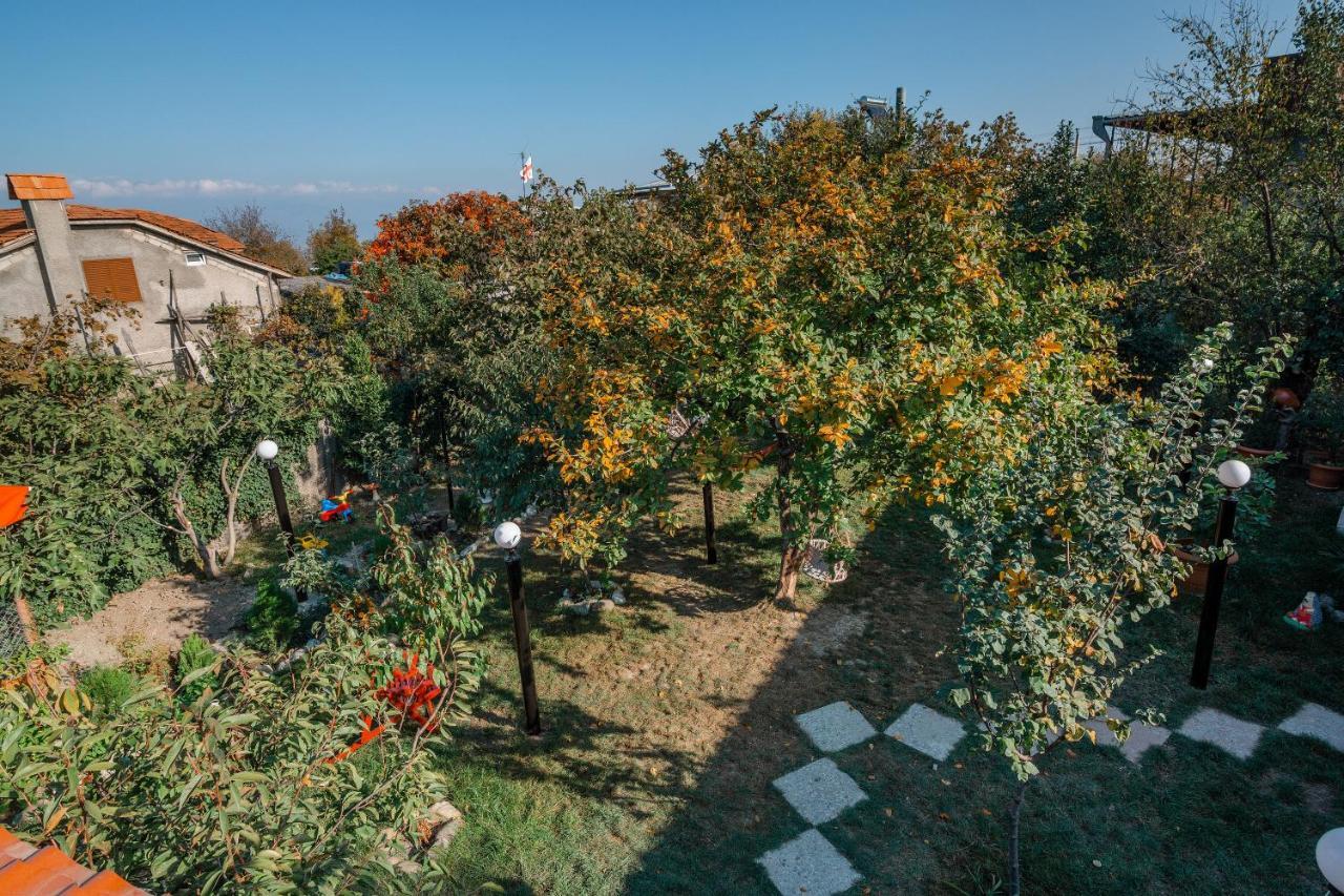 Guest House Poligloti Телави Екстериор снимка